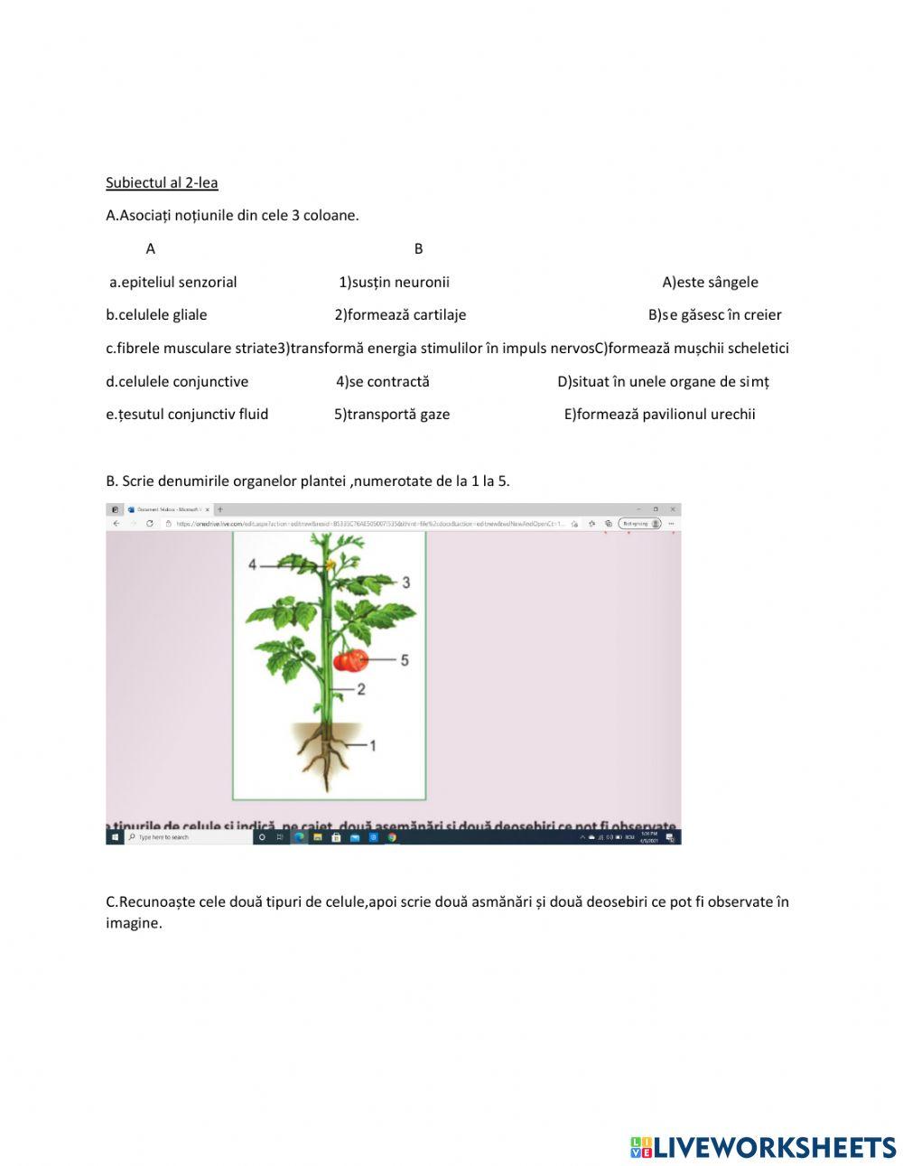 Evaluare-Organismul,un tot unitar