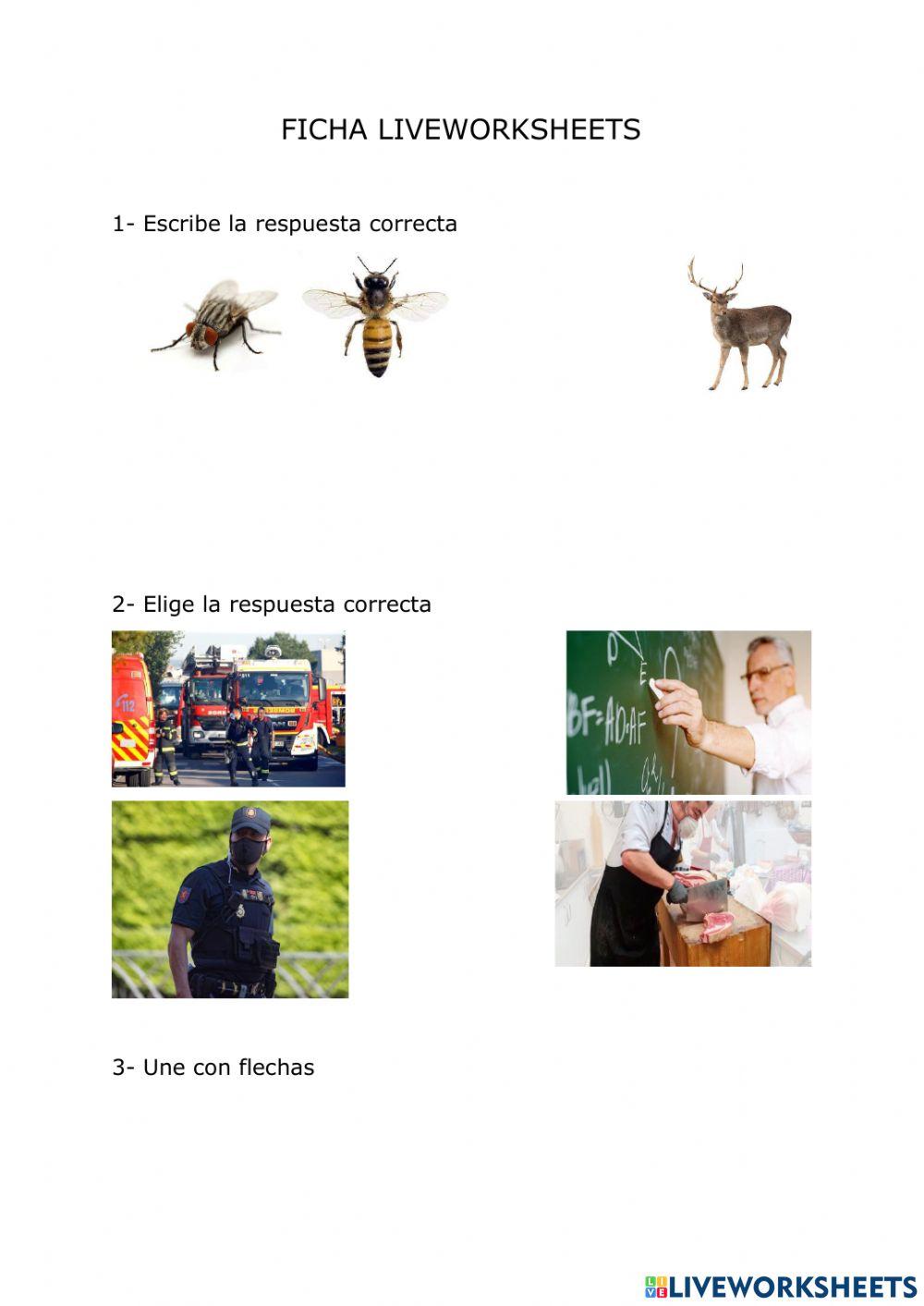 Ficha voluntaria Hugo