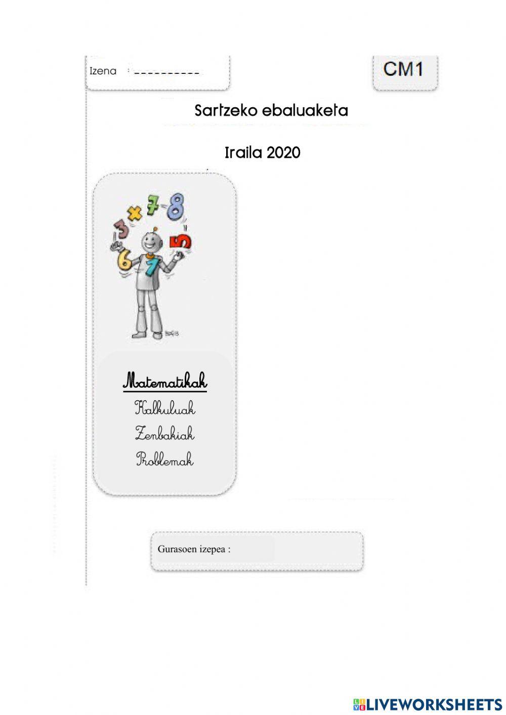 Matematikako ebaluaketa orokorra