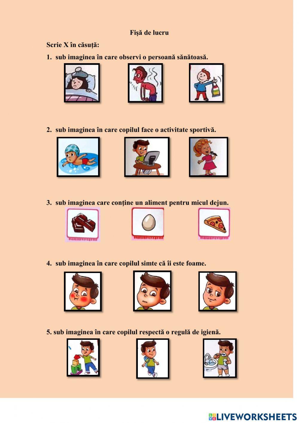 Fisa de lucru Traista cu sanatate-consolidare