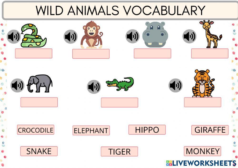 Wild Animals Vocabulary