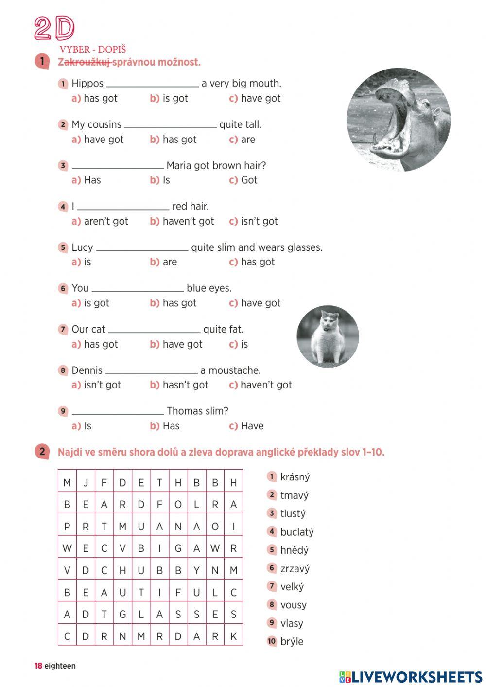 Bloggers - unit 2D - test