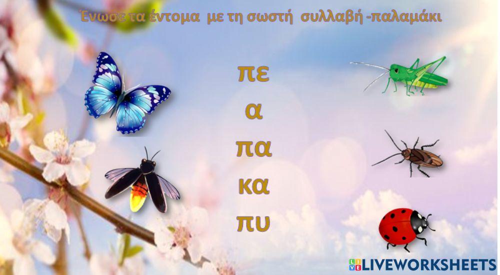 Εντομα Εντομα