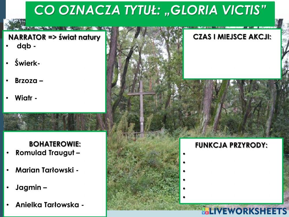 Eliza Orzeszkowa Gloria Victis