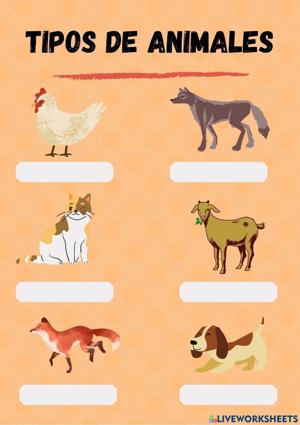 Tipos de animales