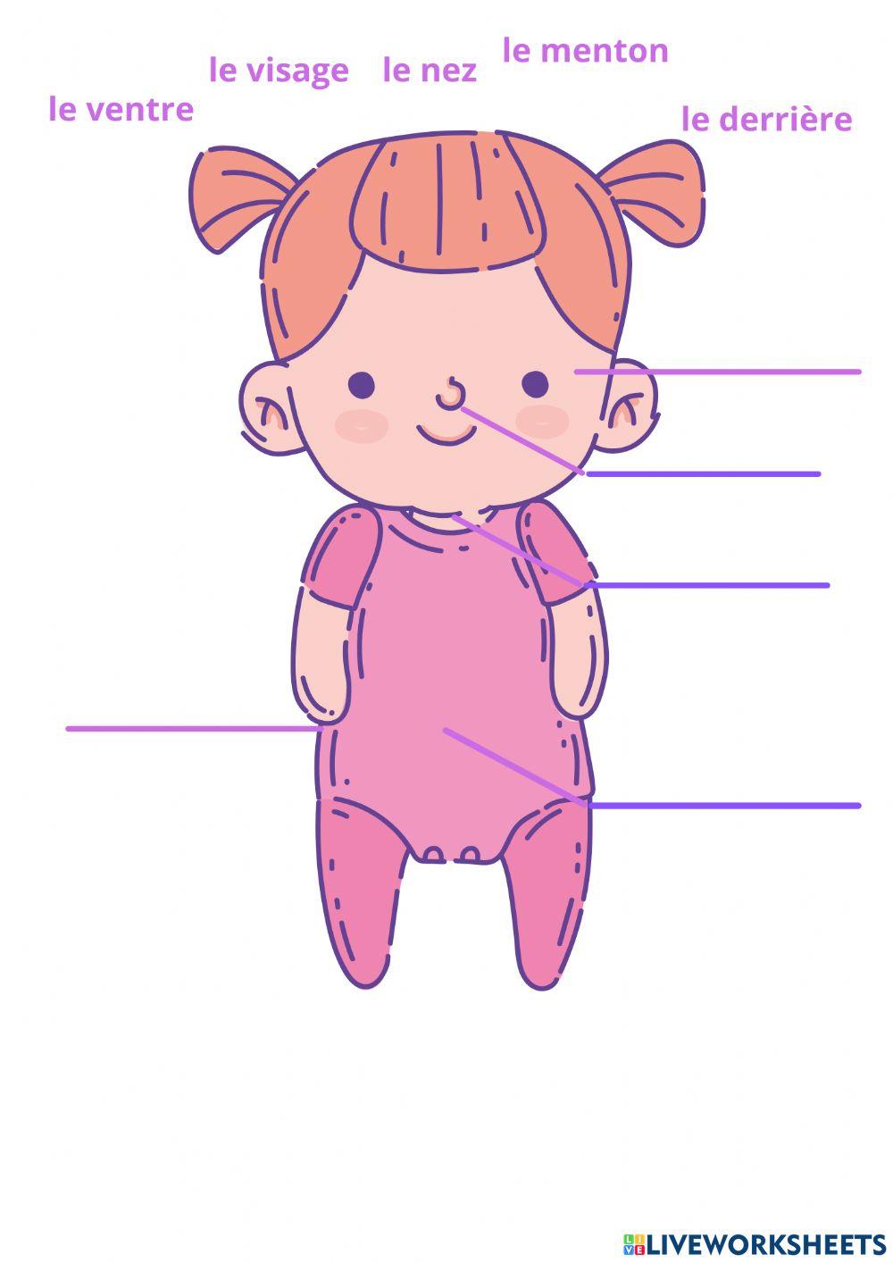 Le visage et les parties de corps