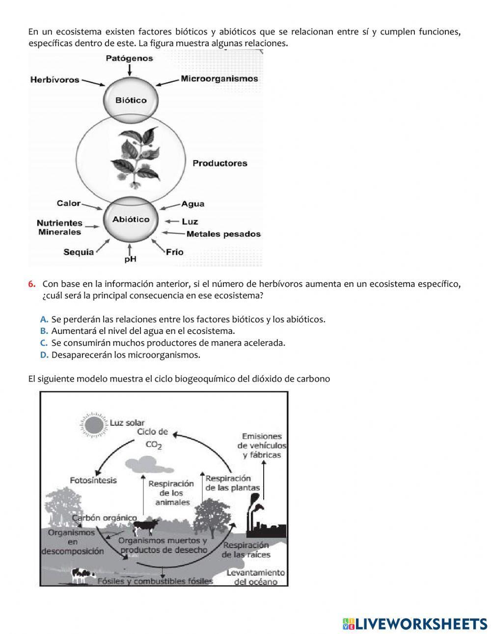 Biodiversidad y dinámica de ecosistemas