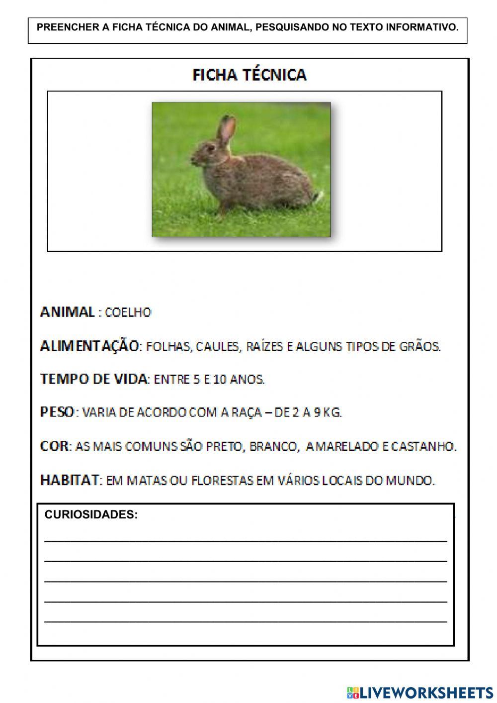 Ficha técnica - coelho
