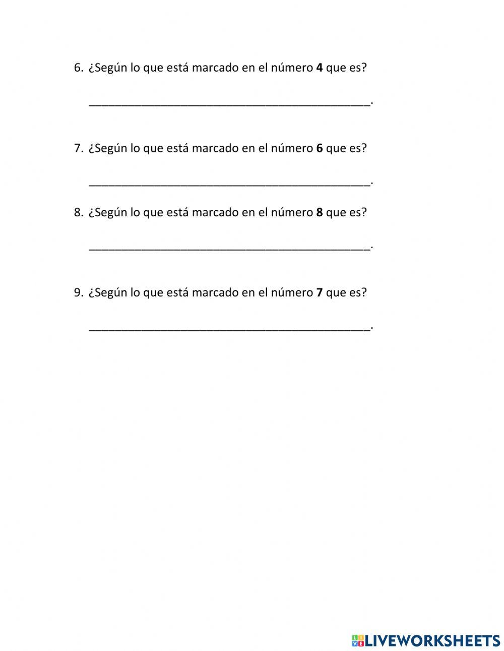 Cráneo visión lateral