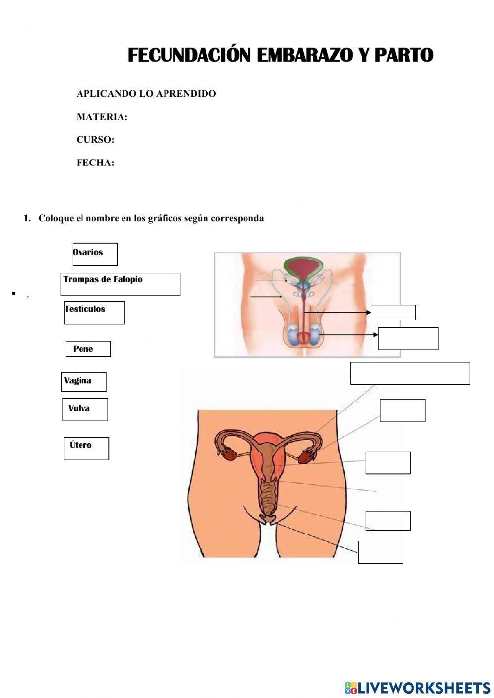 Aplicando lo Aprendido Tercero BGU