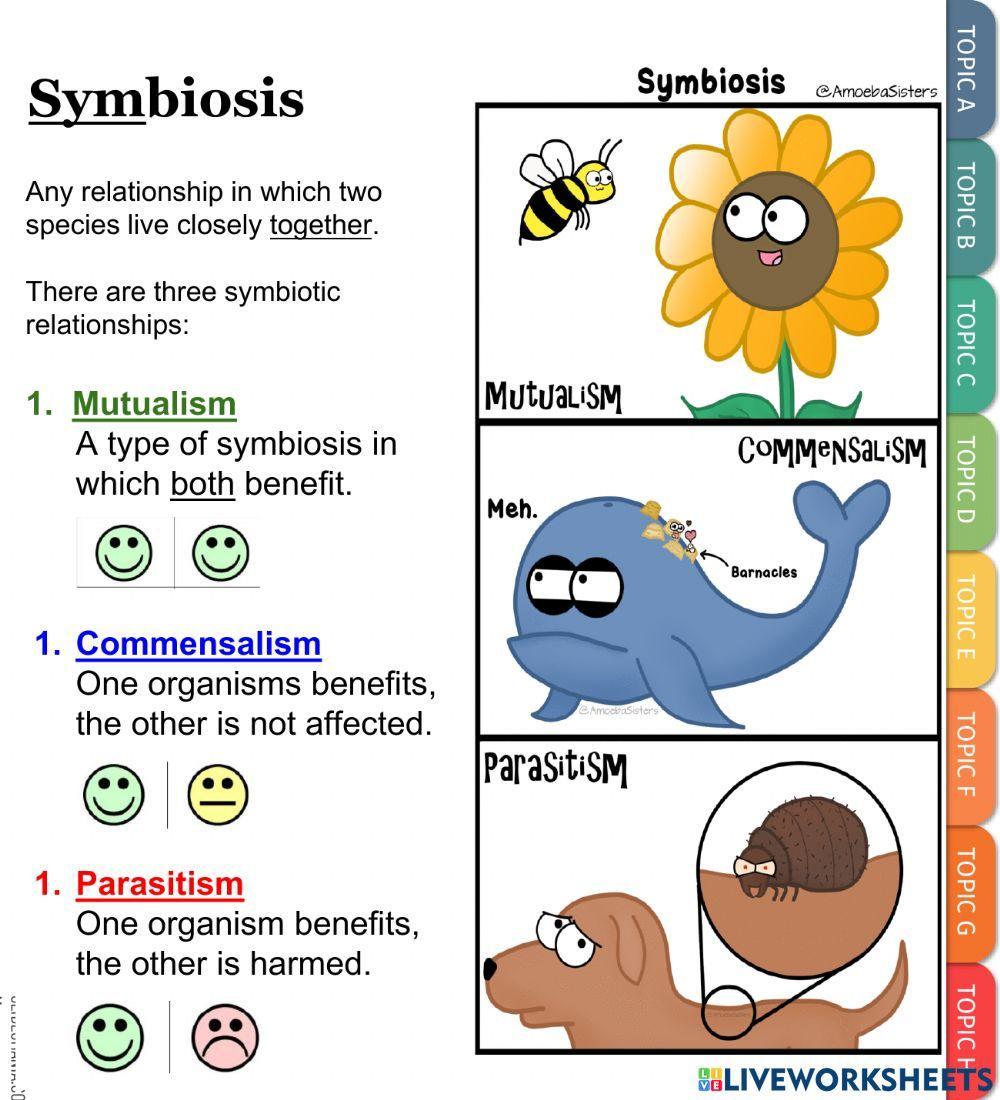 Types of Interactions - Symbiosis