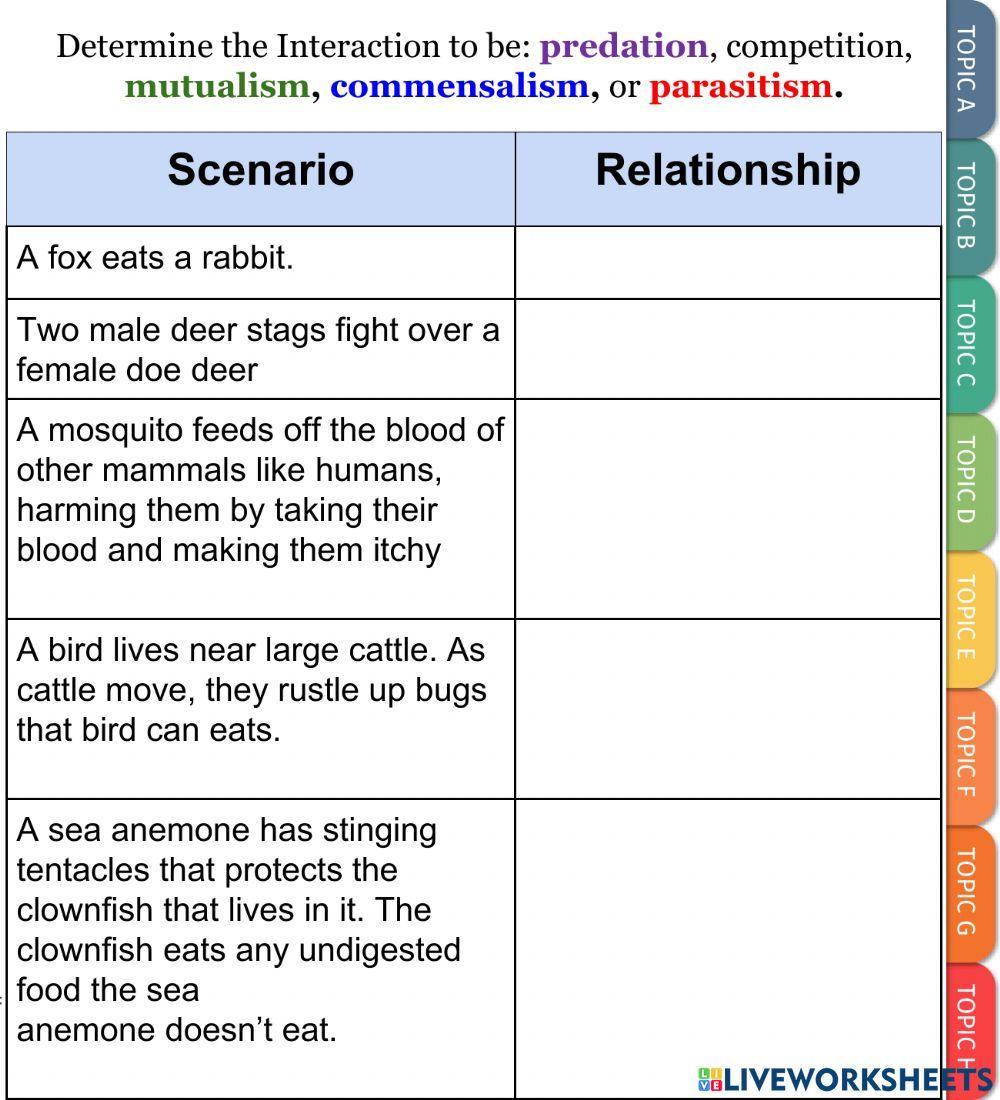Symbiosis Examples Worksheet