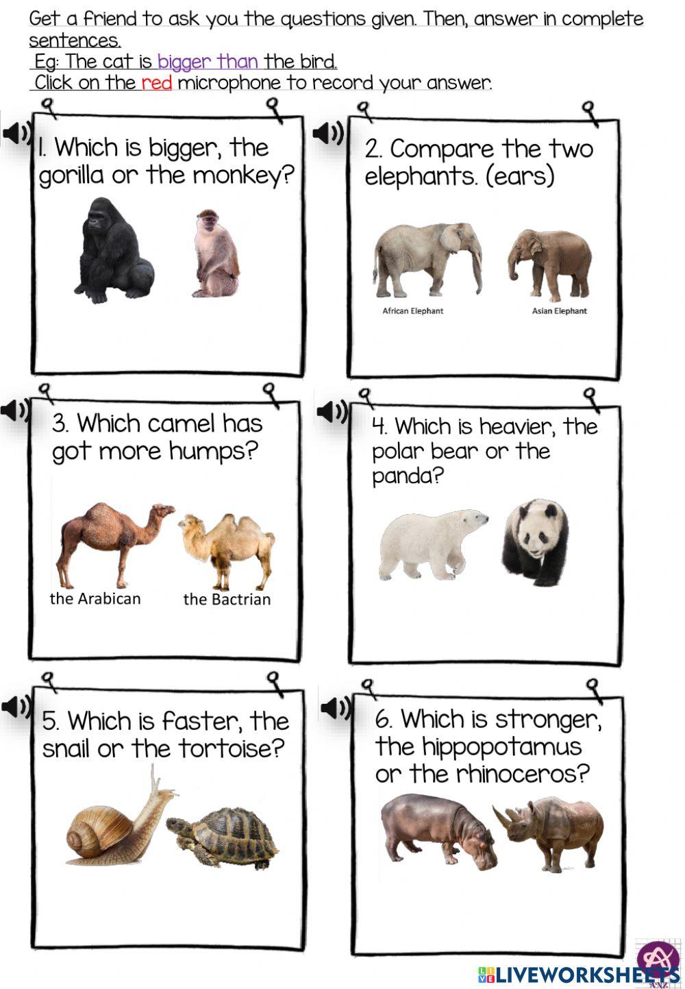 Get smart plus 4: module 8: amazing animals