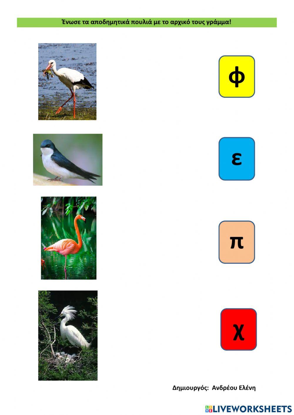 Αποδημητικά πουλιά! Αρχικό γράμμα
