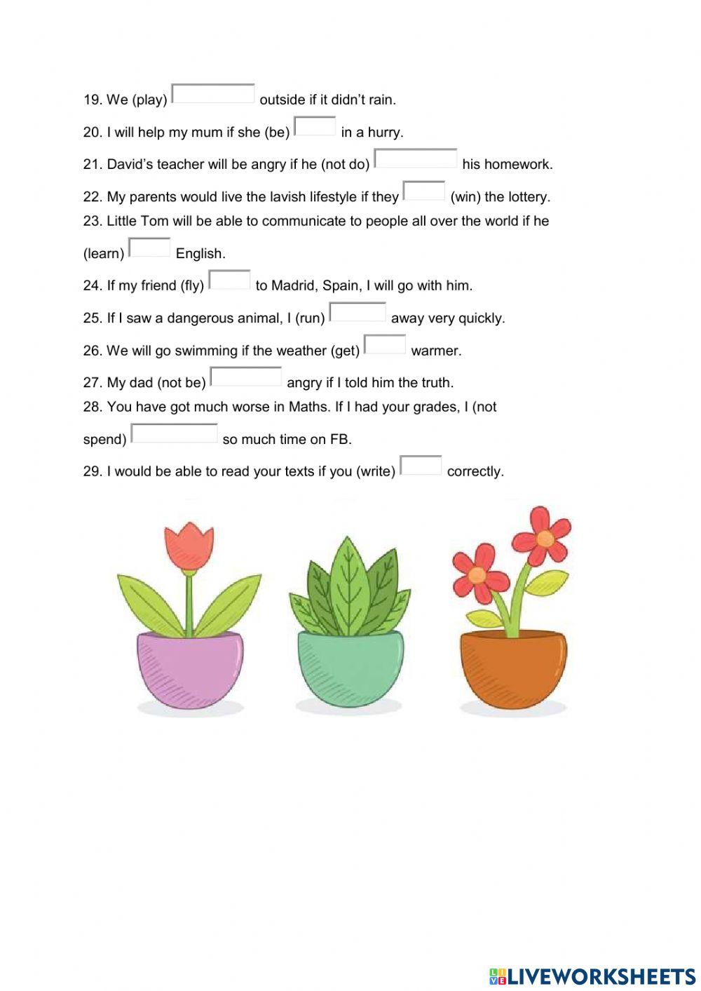 Conditionals type I and II cont.