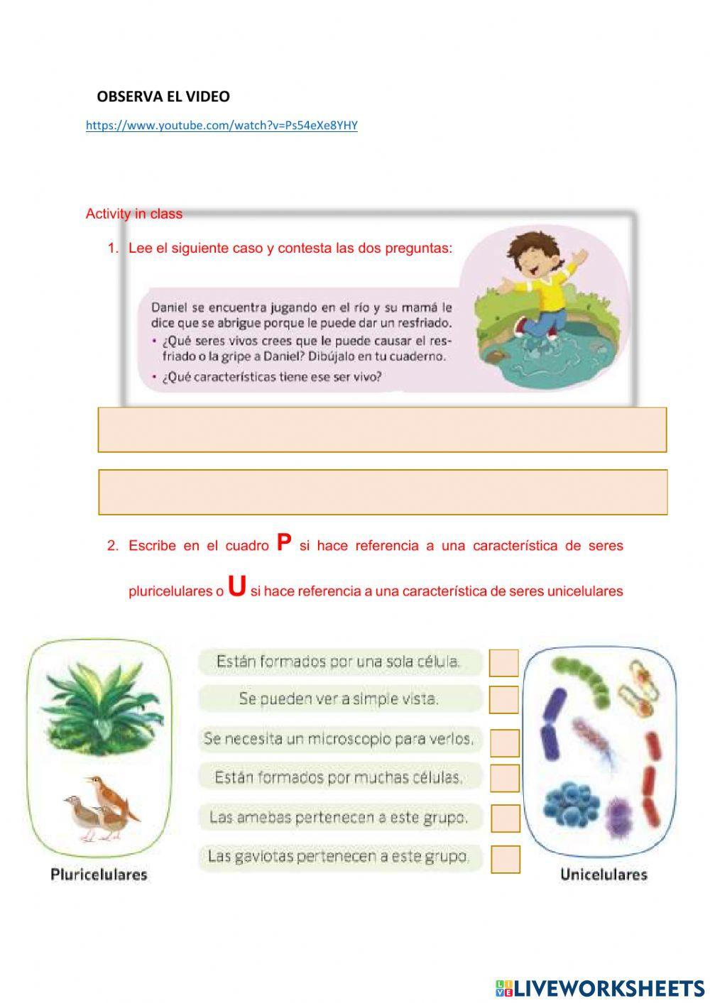 Unicelulares y pluriceliulares