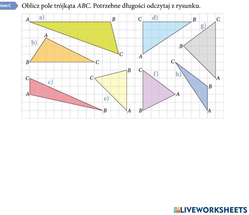 Praca domowa Pole trójkąta