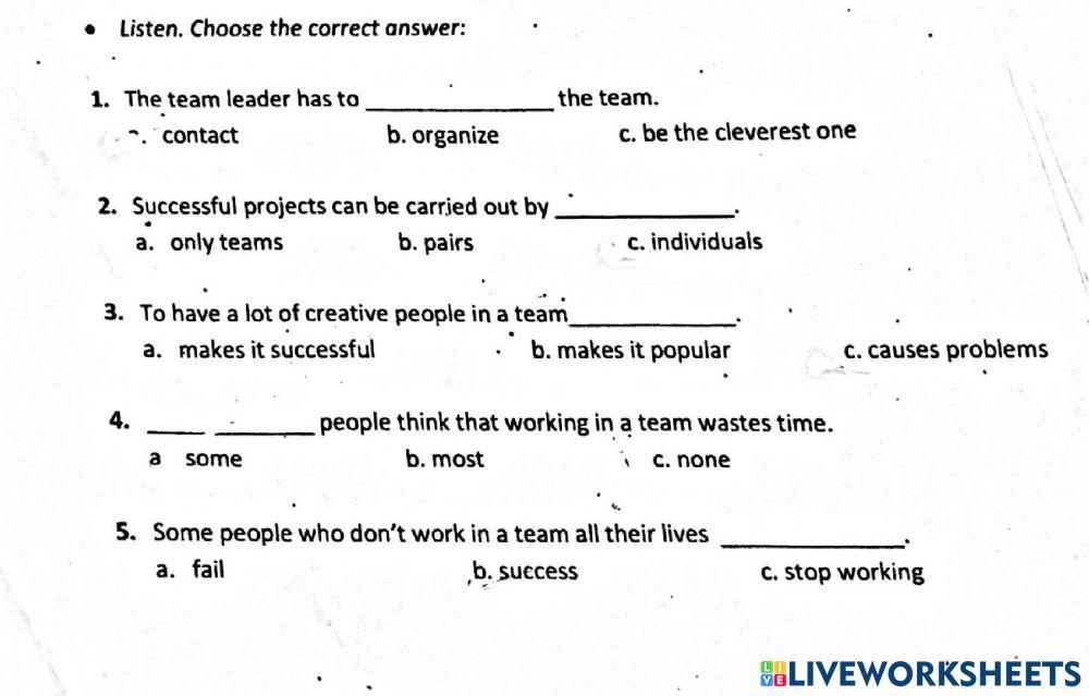 Working in A Team