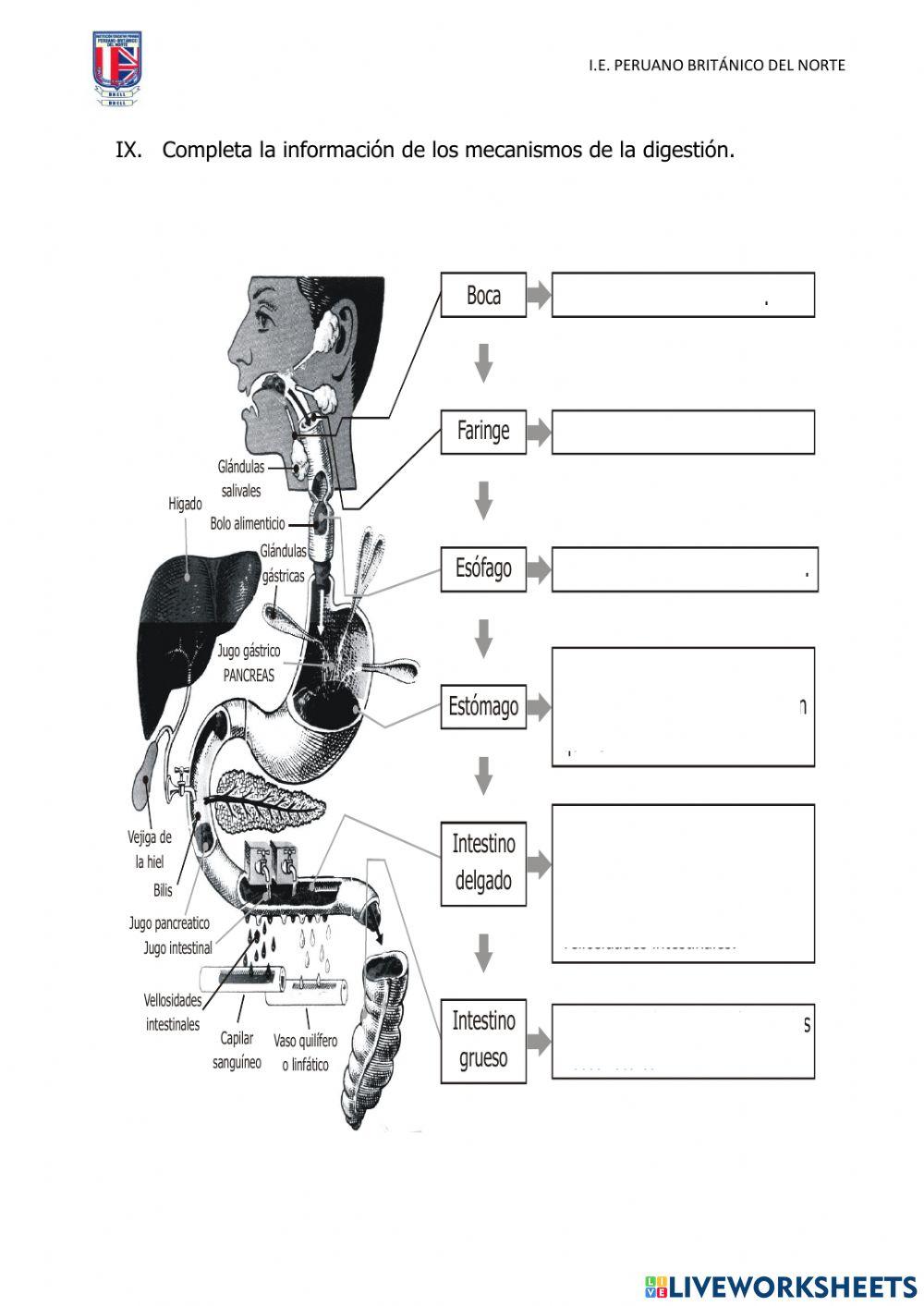 Evaluación de Ciencia