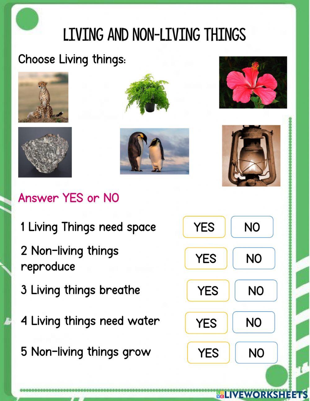 Living Things And Non- Living Things Worksheet Live, 56% OFF