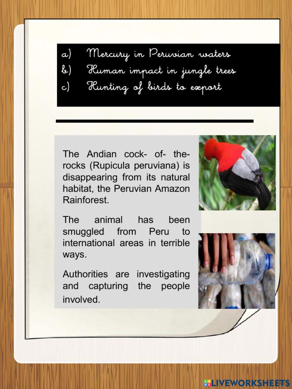 Human Impact worksheet Live Worksheets