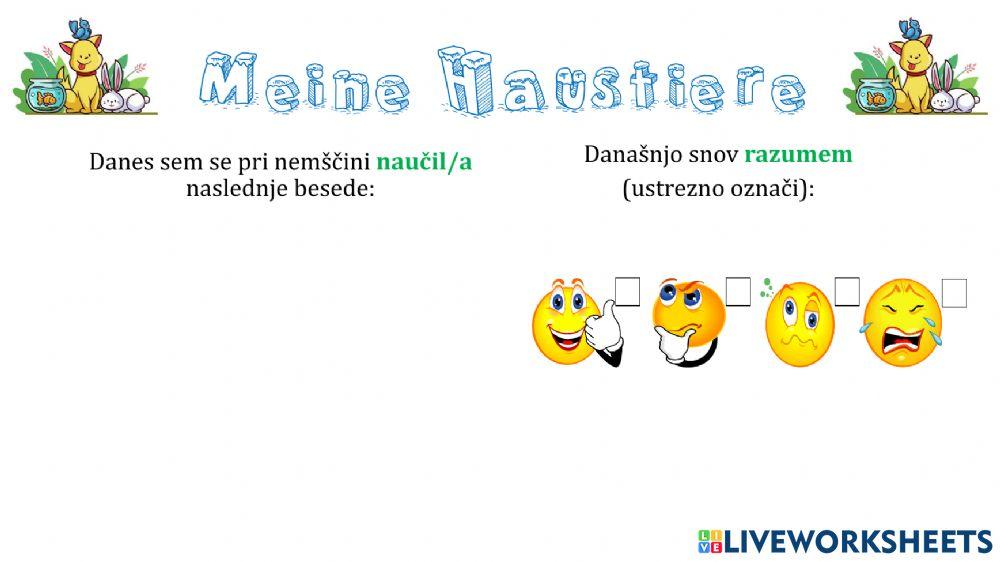 Meine Haustiere - samoocenjevanje II