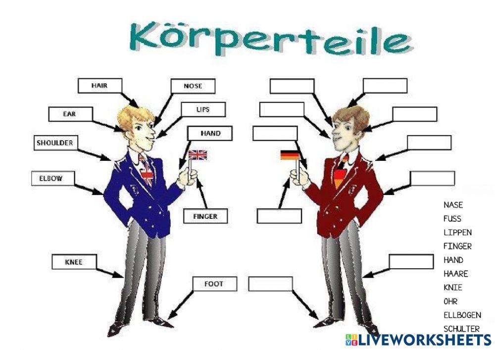 Meine Körperteile
