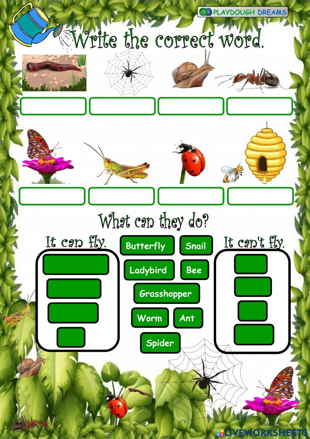 Minibeast 4 (Amazing Rooftops 4, Unit 6)