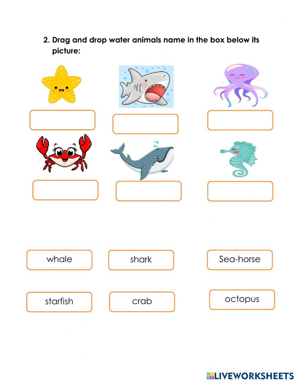 wild, water and domestic animals 6568273 | Nishchaya