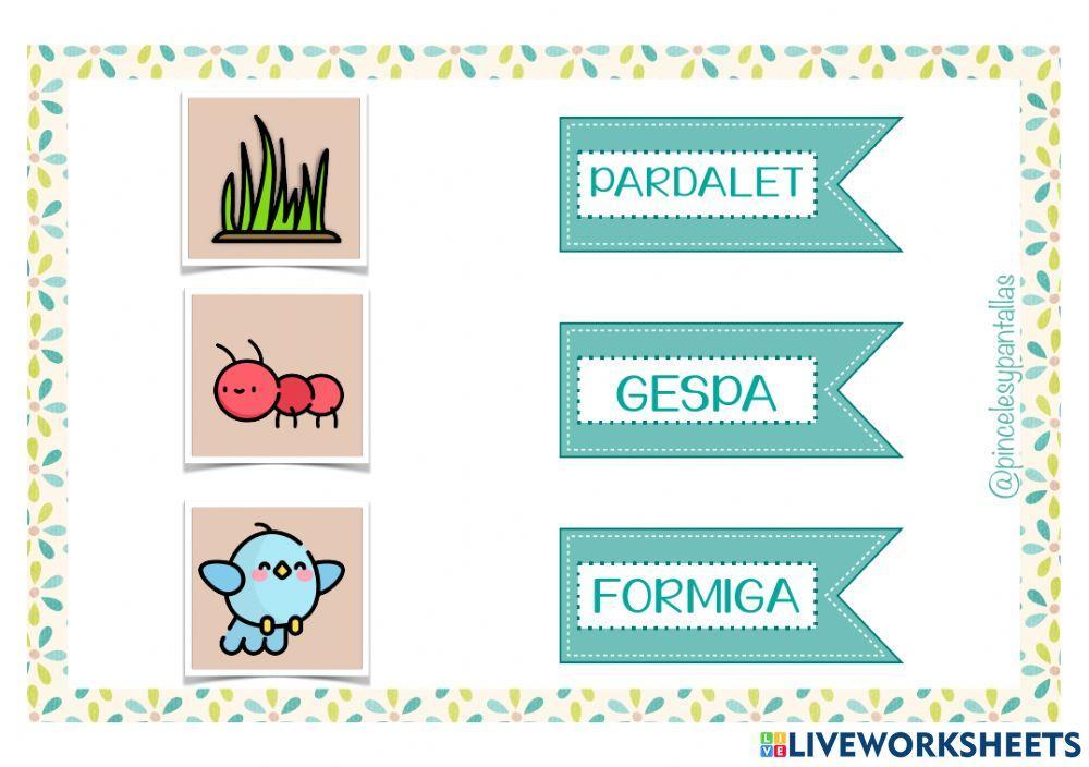 Vocabulari primaveral