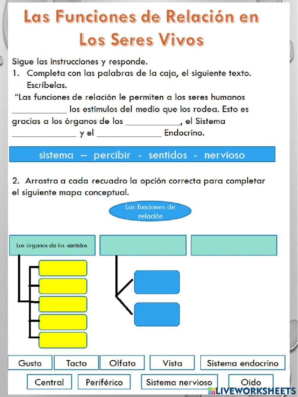 Funciones de relación en los sere vivos