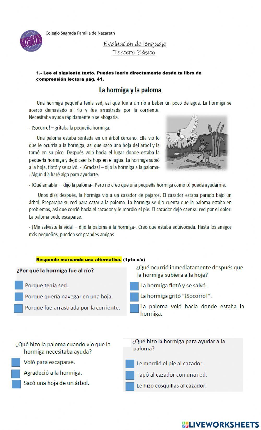 Evaluación lenguaje tercero básico -Mayo