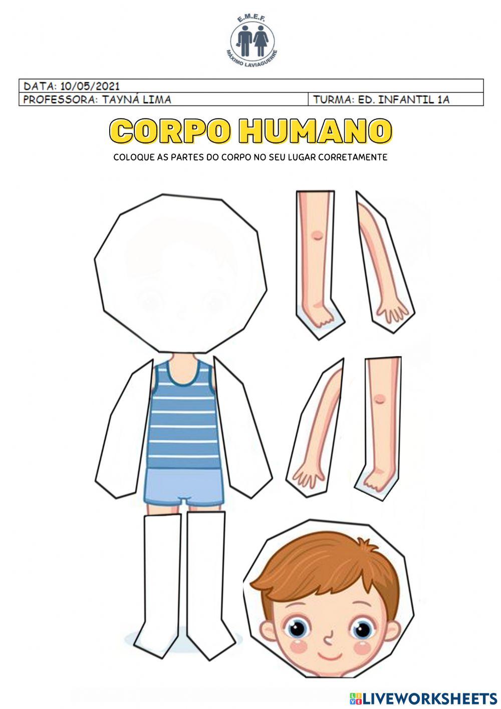 Corpo Humano