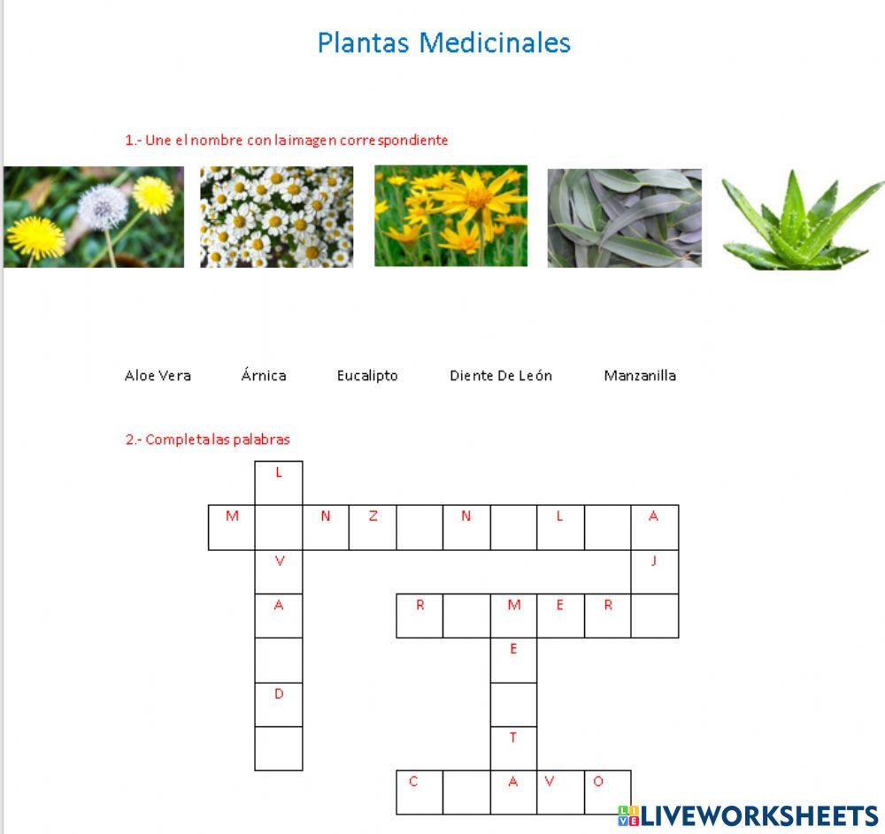 Plantas Medicinales