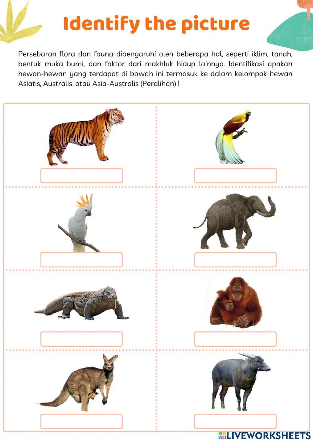 E-LKPD IPS Siswa  Kelas  5 SD