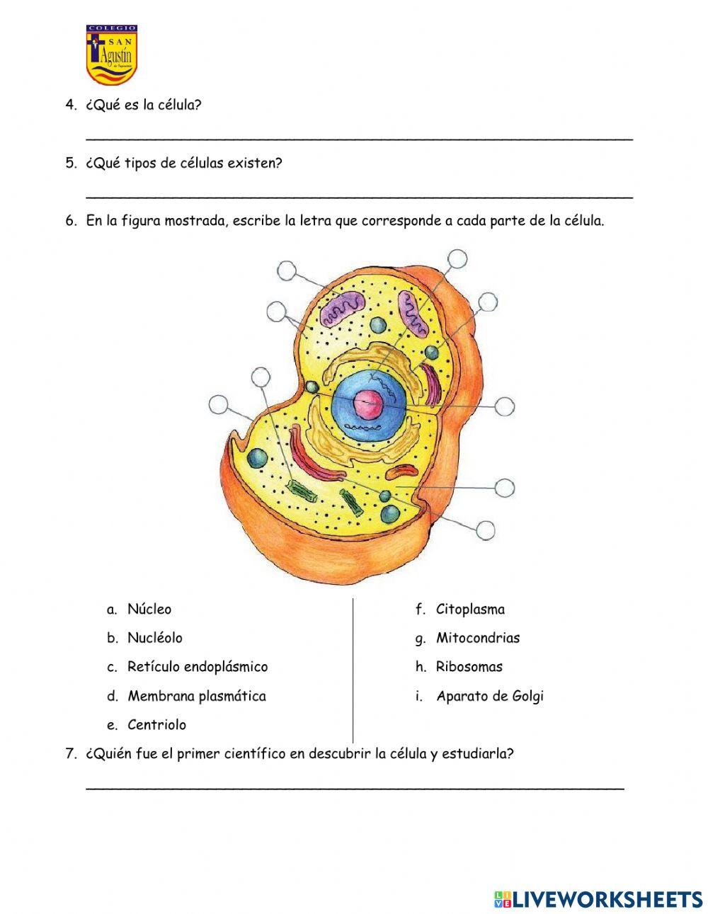 Evaluación bimestral de ciencia