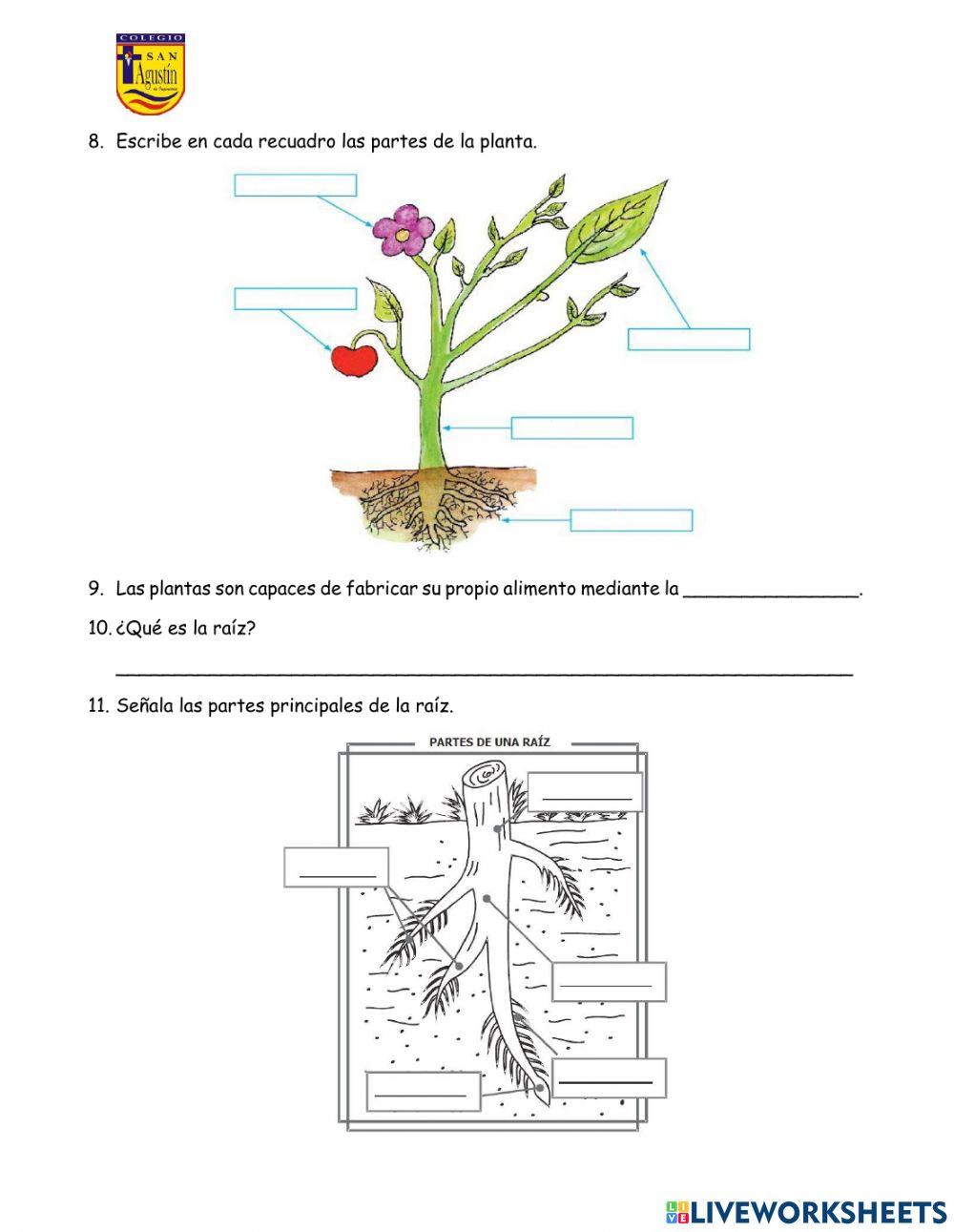 Evaluación bimestral de ciencia