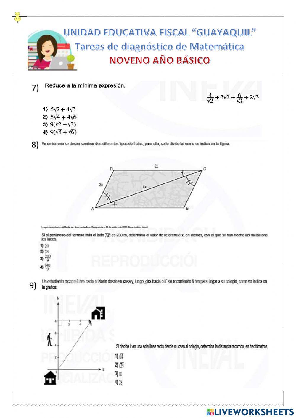 Teorema de pitagoras