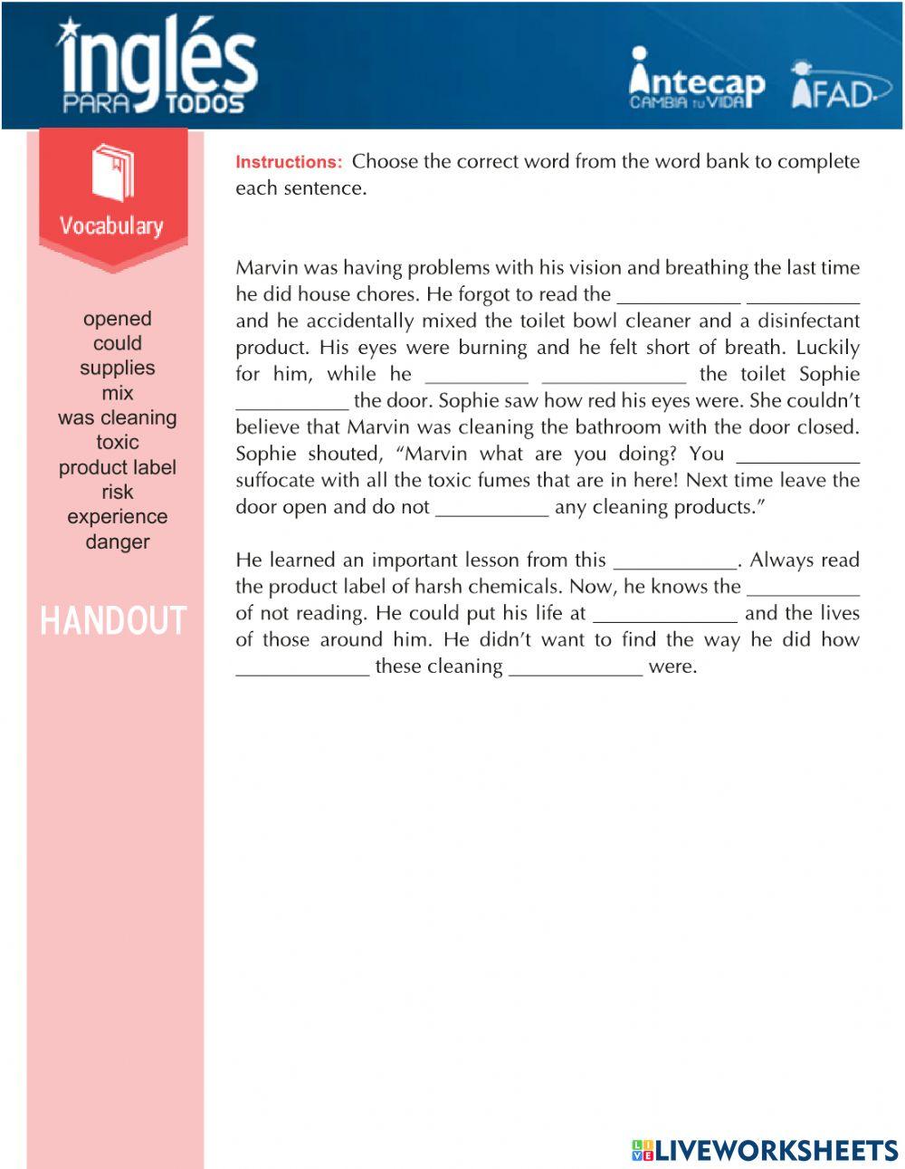 Handout Vocabulary Lesson 3 worksheet | Live Worksheets