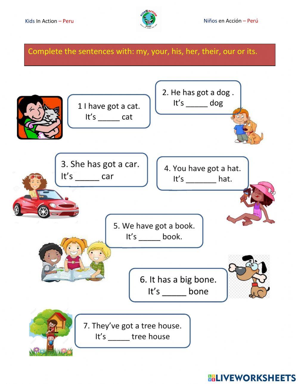 Possessive adjectives