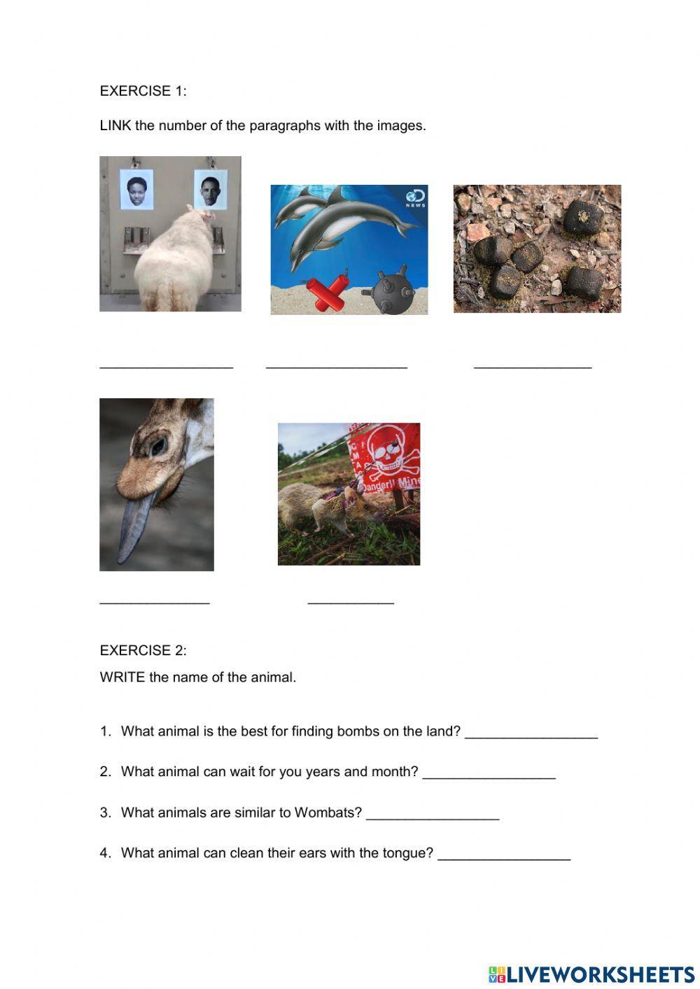 Comparatives and Superlatives Listening and Reading comprehension