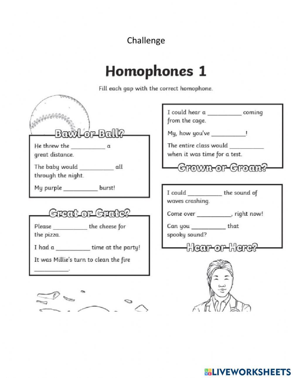 DIS Term3 Week 6 Homophones