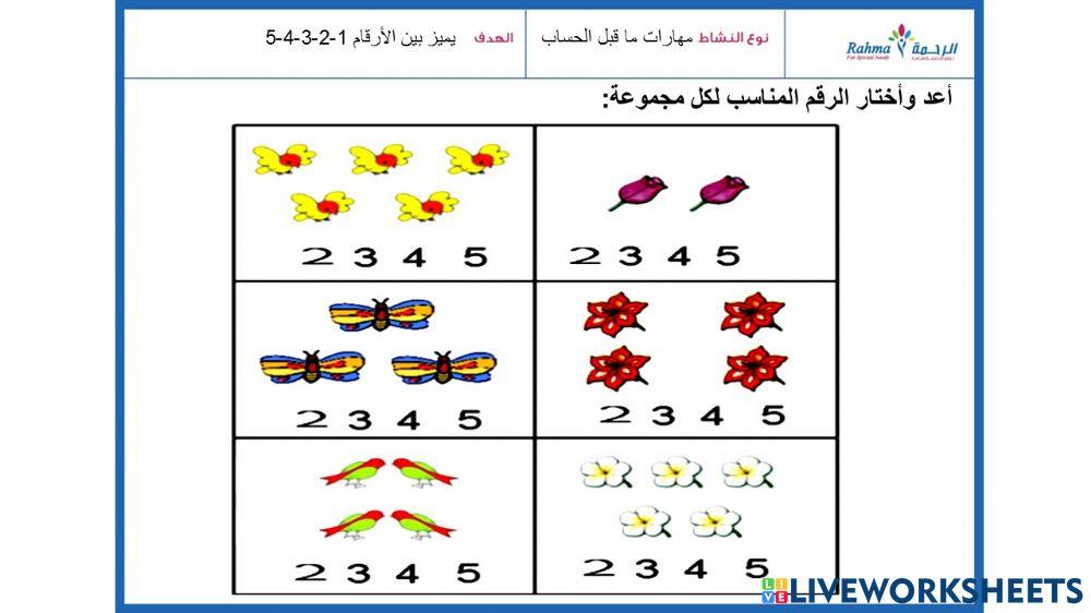 مهارات ماقبل الحساب2