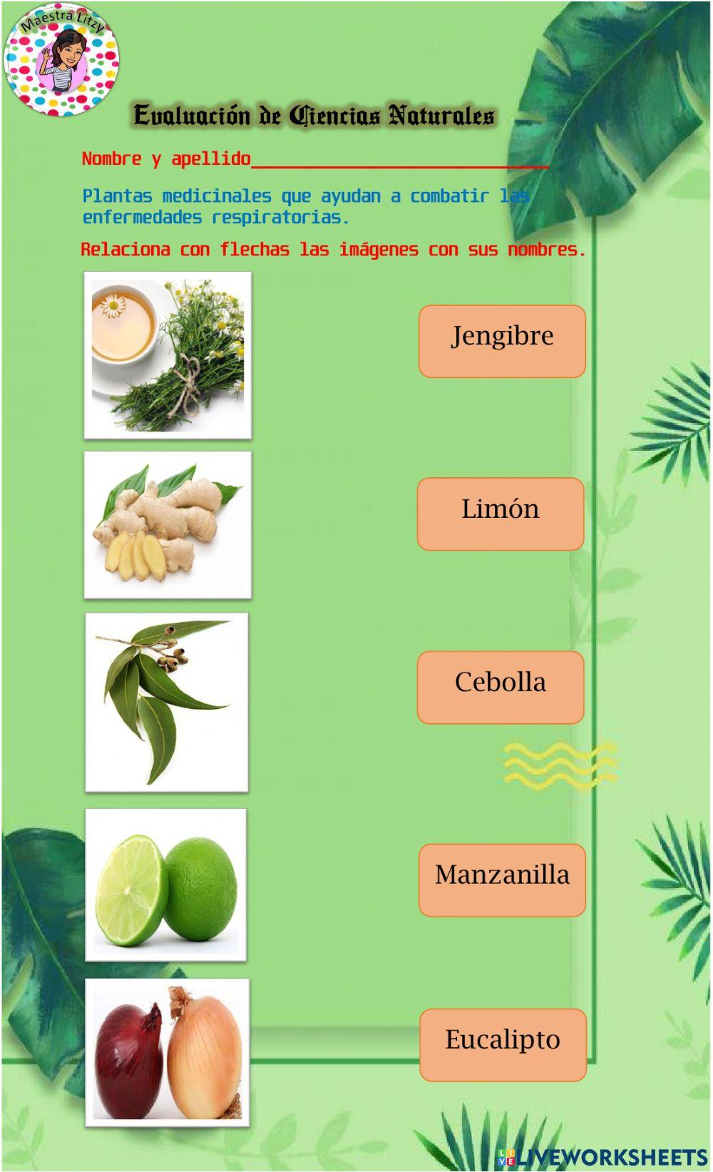 Evaluación de Ciencias Naturales