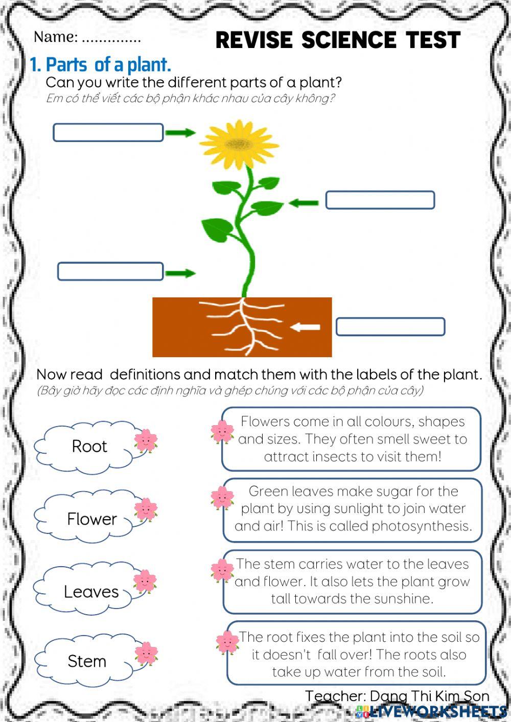 Science - Revise Test