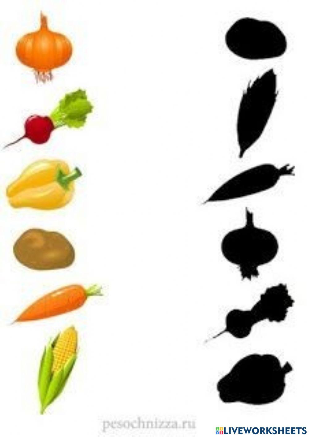 Las Verduras del Huerto