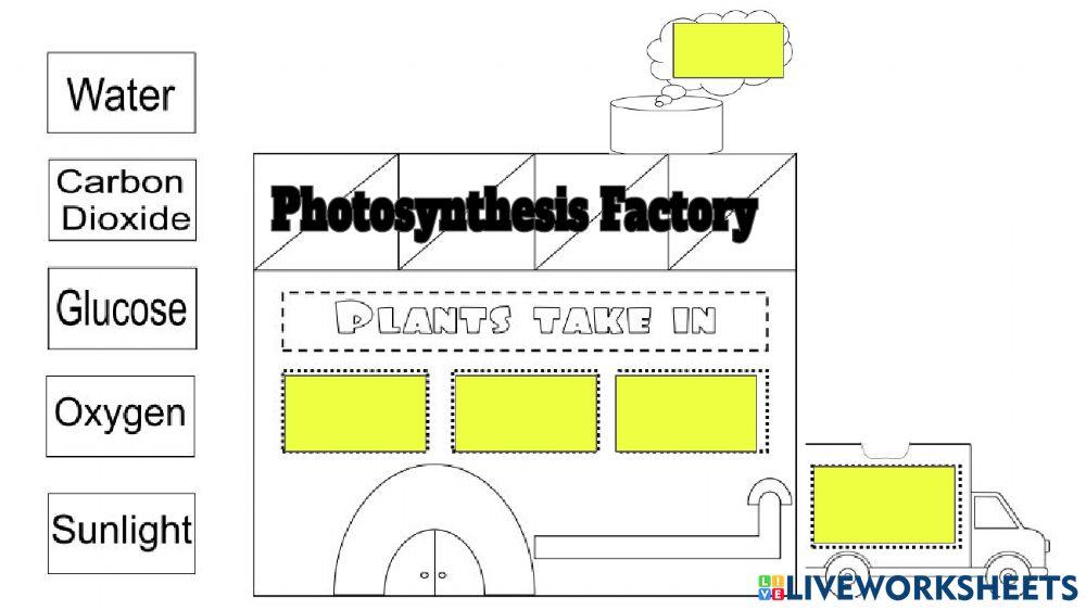 Photosynthesis Factory