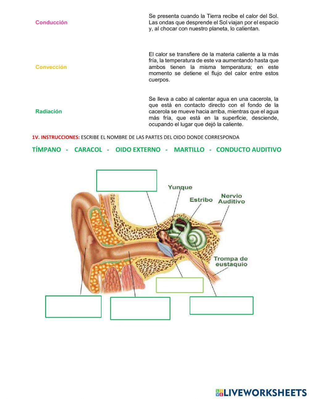 Ciencias Naturales bloque 4 5°