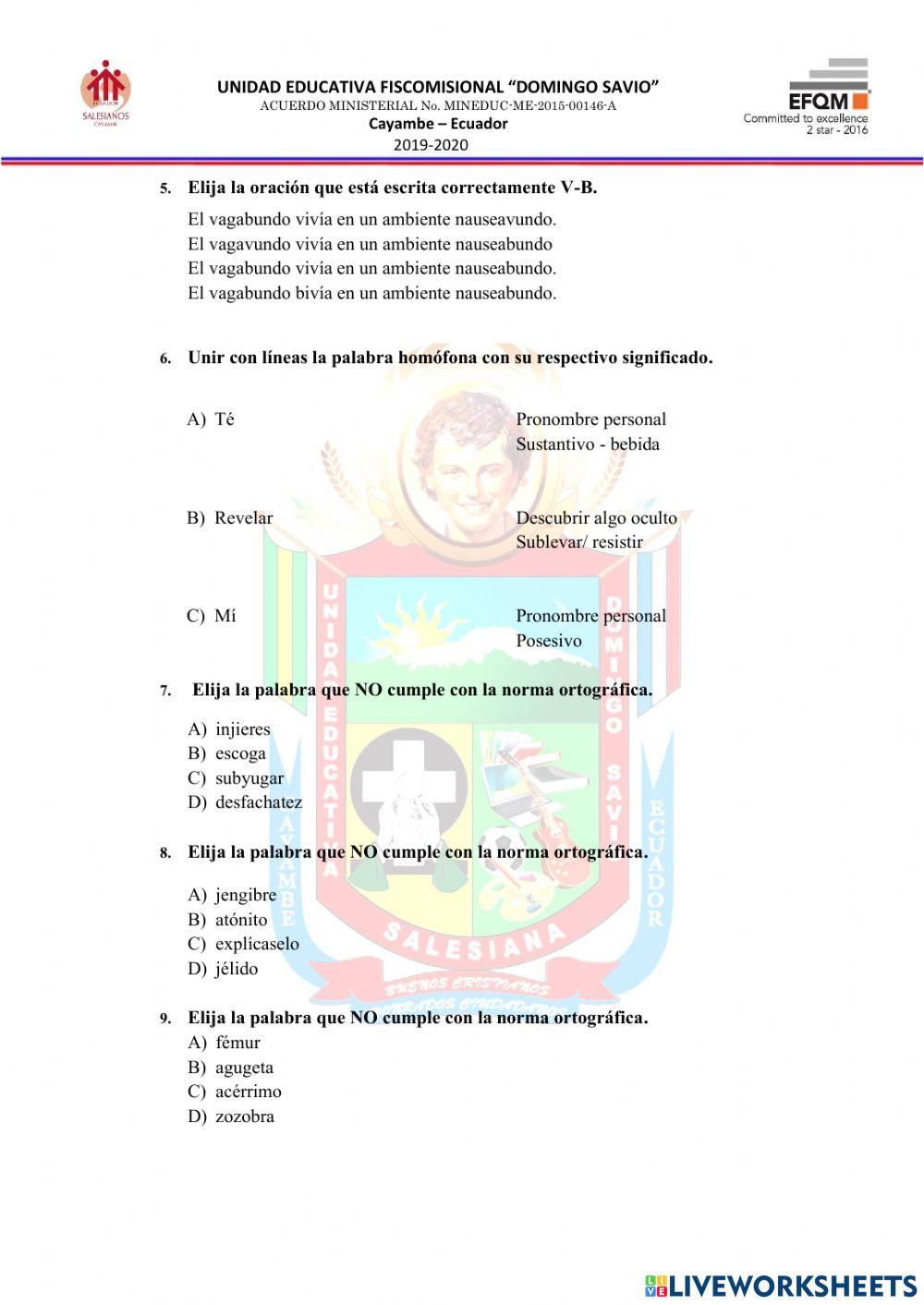 9-Festival Ortografía XD