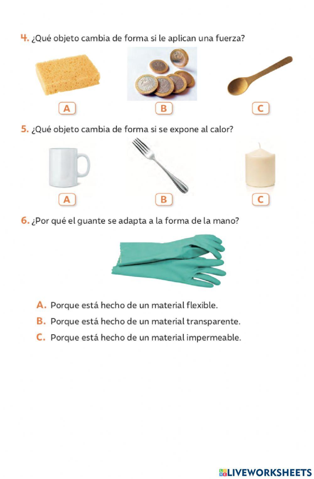 Evaluación sumativa Ciencias Naturales 2ºABC